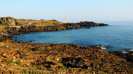 ISOLA DI USTICA la costa. Fotografie di Giulio Azzarello &copy;2016.