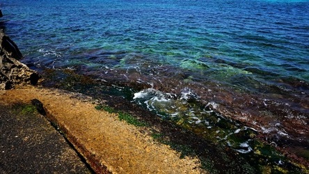 BAIA DEL CORALLO. Fotografie di Giulio Azzarello &copy;2022.