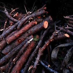 INVERNO. Fotografie di Giulio Azzarello &copy;2023.