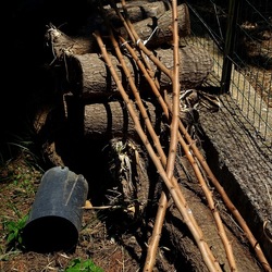 GIARDINO SICILIANO. Fotografie di Giulio Azzarello ©2022. GIARDINO SICILIANO. Fotografie di Giulio Azzarello ©2022.