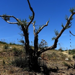 SEGESTA. Fotografie di Giulio Azzarello ©2024. SEGESTA. Fotografie di Giulio Azzarello ©2024.