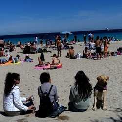 MONDELLO. Fotografie di Giulio Azzarello &copy;2024.