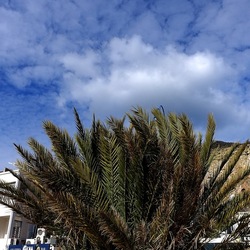 MONDELLO. Fotografe di Giulio Azzarello &copy;2023.