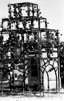 BIANCO NERO. Fotografie di Giulio Azzarello ©2021. BIANCO NERO. Fotografie di Giulio Azzarello ©2021.