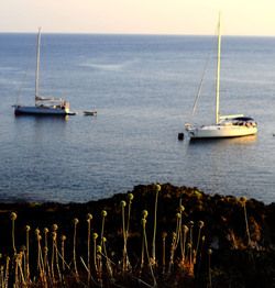 ISOLA DI USTICA la costa. Fotografie di Giulio Azzarello &copy;2016.