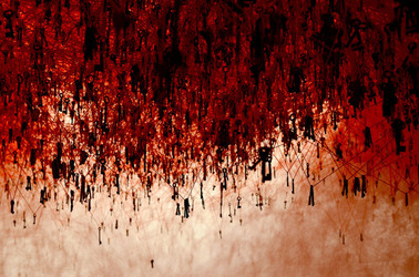 BIENNALE di VENEZIA padiglione giapponese. Foto di Giulio Azzarello &copy;2015 2016. Opera di Chiharu Shiota The KEY in the HAND .