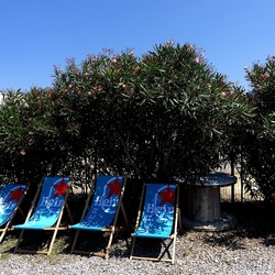 PALERMO. Fotografie di Giulio Azzarello &copy;2023.