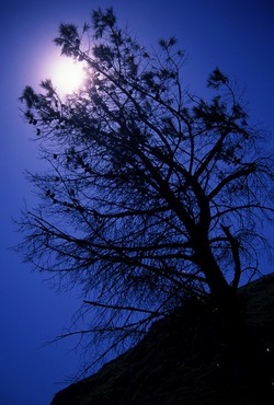 DIGITALIZZAZIONI fotografie di Giulio Azzarello &copy;2020.