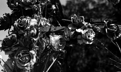 BIANCO NERO. Fotografie di Giulio Azzarello ©2021. BIANCO NERO. Fotografie di Giulio Azzarello ©2021.