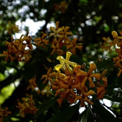 ORTO BOTANICO. Fotografie di Giulio Azzarello &copy;2024.
