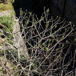 Arabo Normanno. Fotografie di Giulio Azzarello ©2024. Arabo Normanno. Fotografie di Giulio Azzarello ©2024.