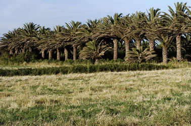 ARTE CONTEMPORANEA A PIRGI sito e riserva archeologica. Fotografie di Giulio Azzarello &copy;2014.
