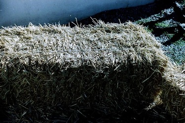 DIGITALIZZAZIONI fotografie di Giulio Azzarello &copy;2020.