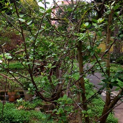 AUTUNNO fotografie di Giulio Azzarello ©2021. AUTUNNO fotografie di Giulio Azzarello ©2021.