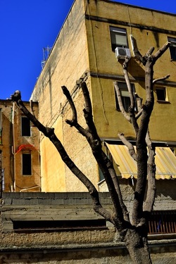 PERIFERIE fotografie di Giulio Azzarello ©2019.