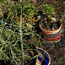 ZISA. Fotografie di Giulio Azzarello &copy;2023.