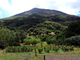 STROMBOLI fotografie di Giulio Azzarello ©2020. STROMBOLI fotografie di Giulio Azzarello ©2020.
