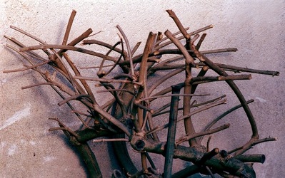 DIGITALIZZAZIONI fotografie di Giulio Azzarello &copy;2020.