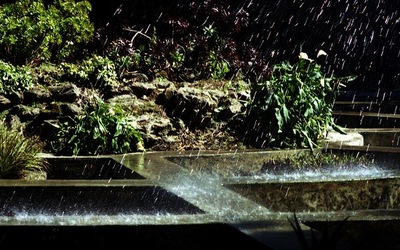 ORTO BOTANICO di Palermo. Fotografie di Giulio Azzarello ©2021.