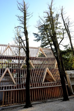 VENEZIA Padiglione Americano Biennale di Arch. Cont. Giardini. Fotografie di Giulio Azzarello &copy;2022.