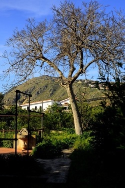 CAMPAGNA fotografie di Giulio Azzarello ©2020.