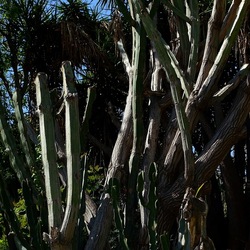 GIARDINO. Fotografie di Giulio Azzarello ©2022.
