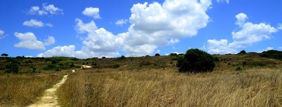 SELINUNTE sito archeologico. Fotografie di Giulio Azzarello ©2018. SELINUNTE sito archeologico. Fotografie di Giulio Azzarello ©2018.
