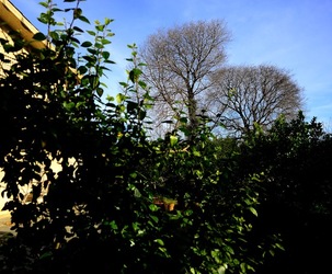 CAMPAGNA fotografie di Giulio Azzarello ©2020.