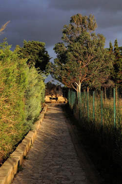 LUIGI PIRANDELLO il parco e la casa museo. Fotografie di Giulio Azzarello ©2014.