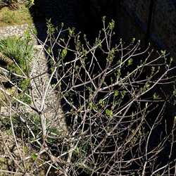 Arabo Normanno. Fotografie di Giulio Azzarello ©2024. Arabo Normanno. Fotografie di Giulio Azzarello ©2024.