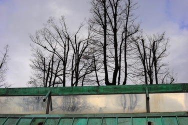 BIENNALE di VENEZIA 2017 i giardini. Fotografie di Giulio Azzarello ©2018. BIENNALE di VENEZIA 2017 i giardini. Fotografie di Giulio Azzarello ©2018.