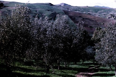 DIGITALIZZAZIONI fotografie di Giulio Azzarello &copy;2020.