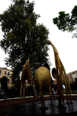 BIENNALE ARTI CONTEMPORANEE DI VENEZIA fotografie di Giulio Azzarello ©2020.