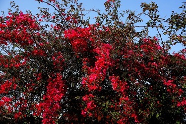 MONDELLO. Fotografie di Giulio Azzarello &copy;2023.