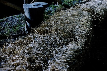 DIGITALIZZAZIONI fotografie di Giulio Azzarello &copy;2020.