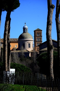 PARCO ARCHEOLOGICO DEL PALATINO Roma. Fotografie di Giulio Azzarello ©2020.