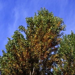 ROMA fotografie di Giulio Azzarello &copy;2022.