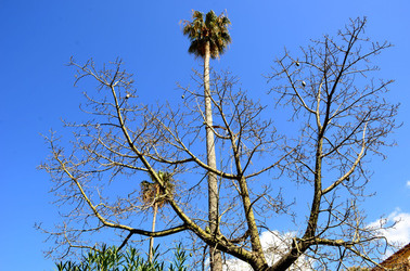 MACCHIA MEDITERRANEA in Sicilia. Fotografie di Giulio Azzarello &copy;2106.