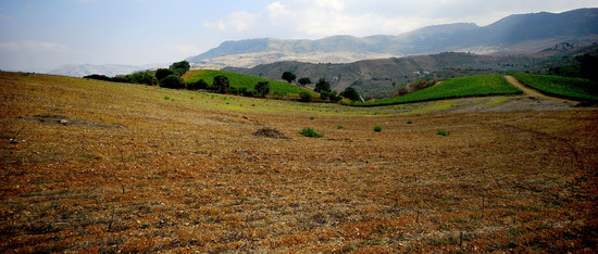 CAMPAGNA SICILIANA. Fotografie di Giulio Azzarello &copy;2016.