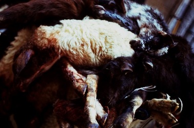 VUCCIRIA anni 90. Fotografie di Giulio Azzarello ©2022.