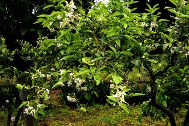 ZAGARA. Fotografie di Giulio Azzarello ©2022. ZAGARA. Fotografie di Giulio Azzarello ©2022.