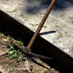 GIARDINO SICILIANO. Fotografie di Giulio Azzarello &copy;2024.