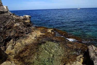 ARENELLA Fotografia di Giulio Azzarello ©2022.