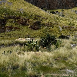 OSSERVAZIONI. Fotografie di Giulio Azzarello ©2022. OSSERVAZIONI. Fotografie di Giulio Azzarello ©2022.