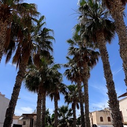 SAN VITO LO CAPO. Fotografie di Giulio Azzarello &copy;2023.