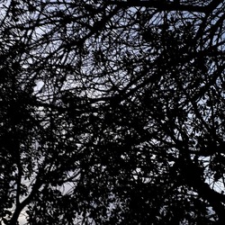 INVERNO. Fotografie di Giulio Azzarello &copy;2023.