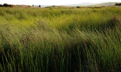 PAESAGGIO SICILIANO nel luogo delle macalube in Sicilia. Fotografie di Giulio Azzarello &copy;2014.