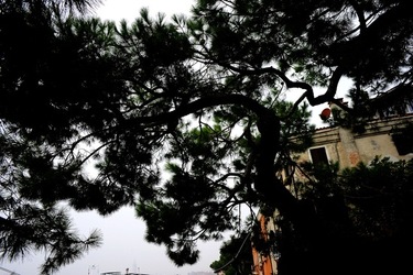 BIENNALE ARTI CONTEMPORANEE DI VENEZIA fotografie di Giulio Azzarello ©2020.