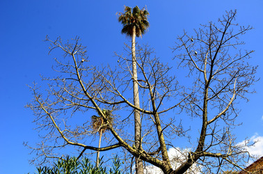 MACCHIA MEDITERRANEA in Sicilia. Fotografie di Giulio Azzarello &copy;2106.