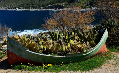 CAPO GALLO riserva marina e naturalistica a Palermo panoramiche e particolari. Fotografie di Giulio Azzarello ©2014. CAPO GALLO riserva marina e naturalistica a Palermo panoramiche e particolari. Fotografie di Giulio Azzarello ©2014.